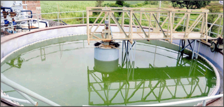 > </div>
<div class=